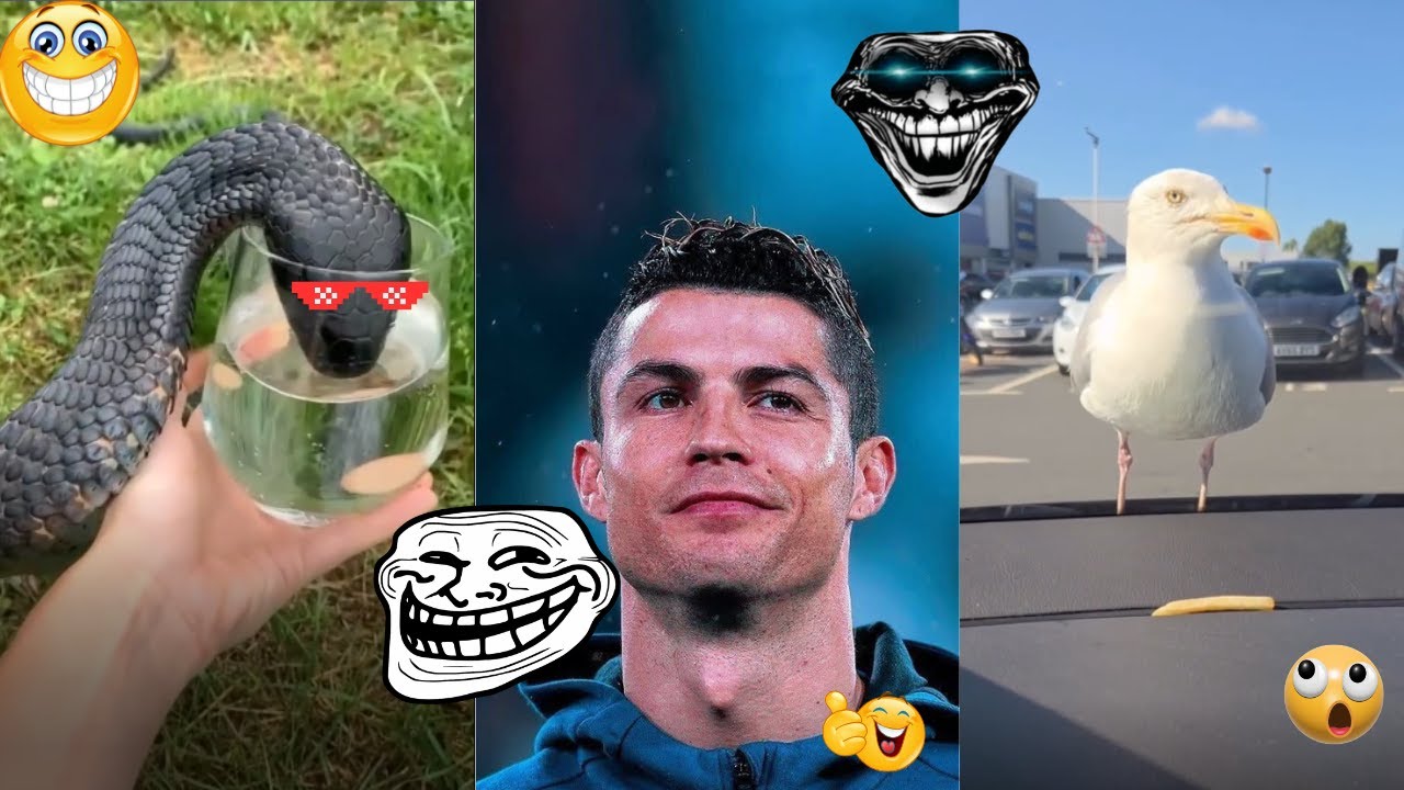 Video Image Troll Best Troll Face Memes Compilation 2025 😂 | Funniest Meme Video Ever ...