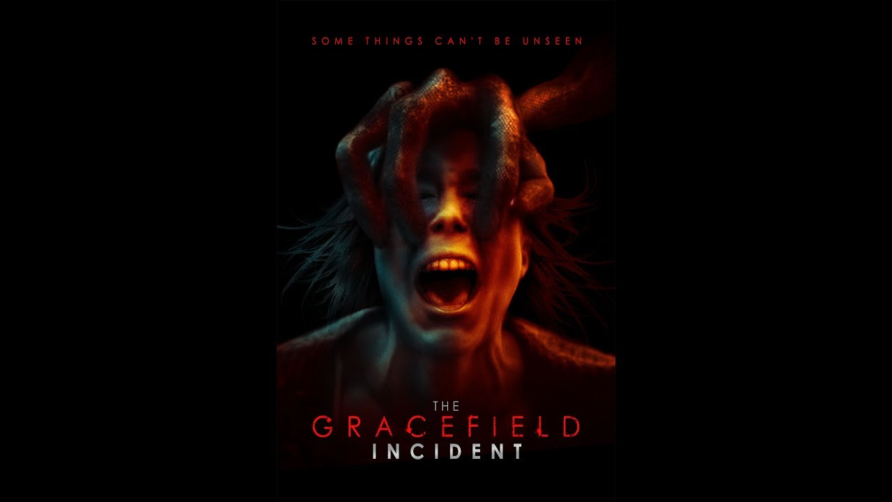 The Gracefield Incident
