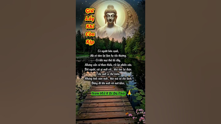 Hãy Trân Trọng Những Gì Có #phatphap #loiphatday #tamtrang #daovadoi