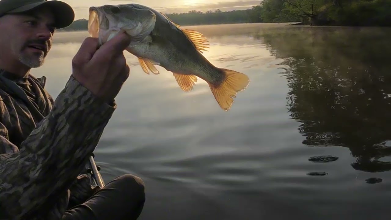 Early spring tidal water bass fishing 🎣@Cashionrods @LewsFishing