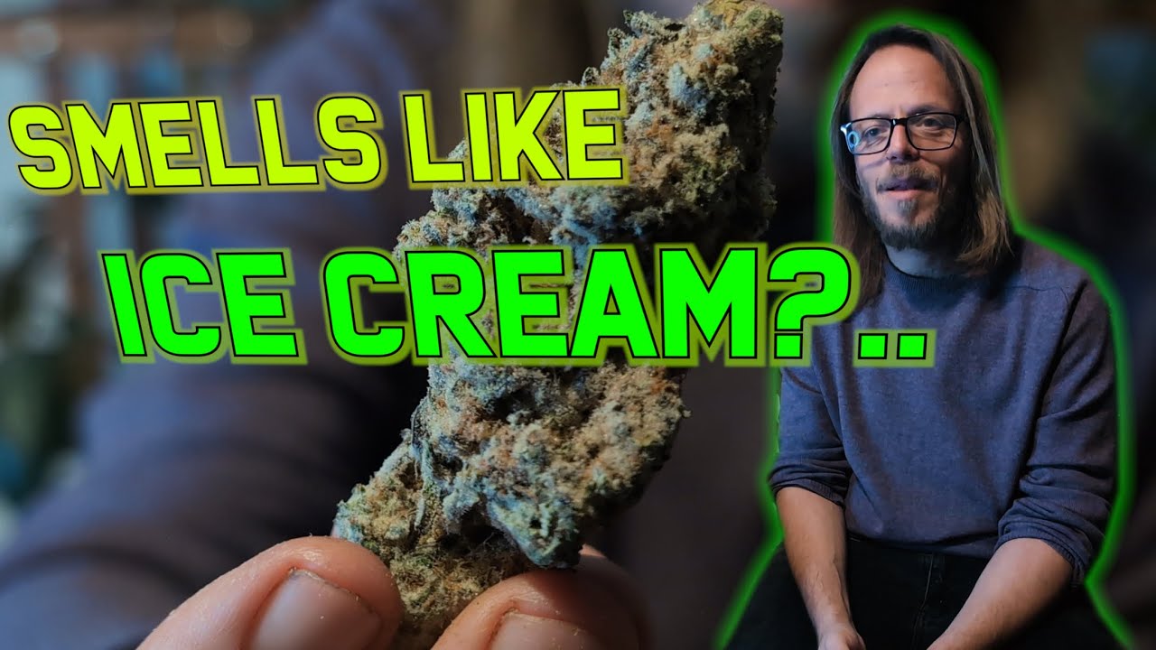 Привет, каннабис! | Cap Junky | Обзор медицинских сортов каннабиса в Великобритании