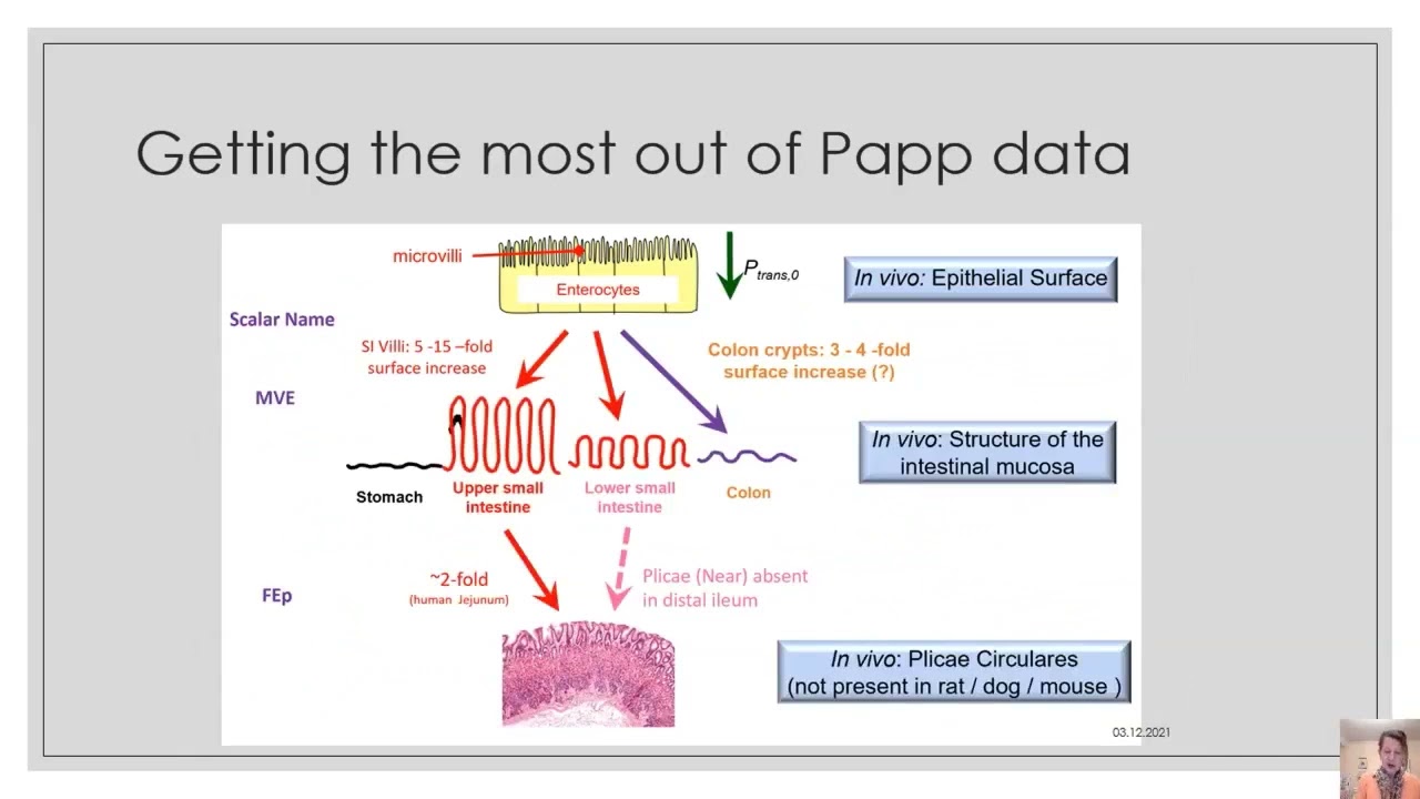 Drug Permeability: Best Practices for BCS-based Biowaivers (December 6, 2021)