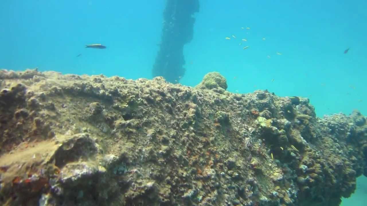 Diving Puerto Rico Crash Boat Beach July 2013 YouTube