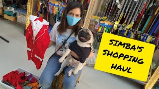 My Pug Selects His Birthday Outfit | Simba's Funny Shopping Haul