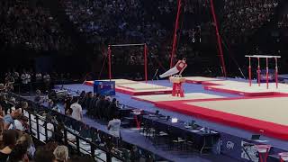 Thierry PELLERIN (CAN) - Pommel Horse final - Internationaux de France