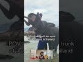 Vacaciones en Tailandia 🐘🇹🇭