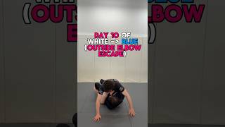 Day 10 Of WHITE To BLUE (Outside Elbow Escape)