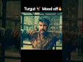 Nikola Captured Turgut Turgut Very Angry Kurulusosman Shorts Youtubeshorts Viral