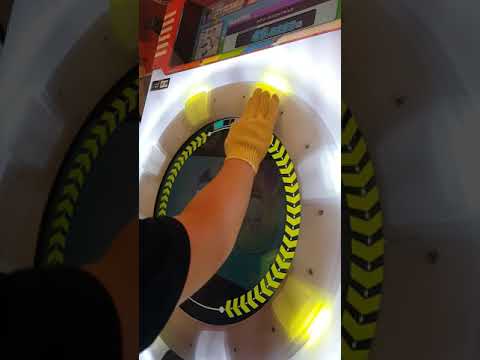 【全1シリーズ】 ガヴリールドロップキック MASTER 理論値AP