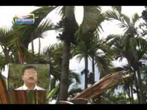 04 09 2014 crop management in the background of fluctuations in weather conditions dr j venkatesh an 04 09 2014 crop management in the background of fluctuations in weather conditions dr j venkatesh an