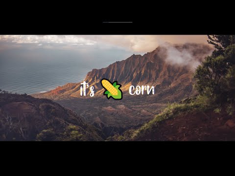 It's Corn 🌽🌽 (FULL SONG) feat. Tariq & Recess Therapy LYRICS