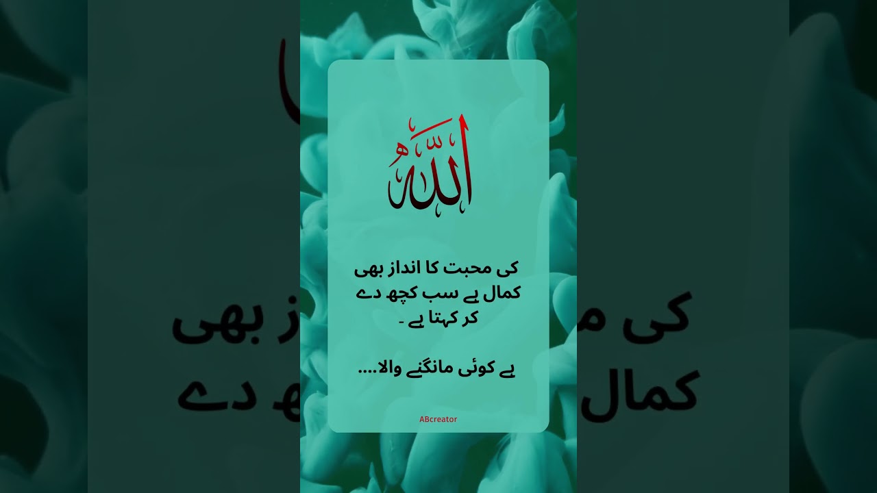 heart touching quotes in urdu -best islamic status #islamicviral #abcreator #islamicshorts