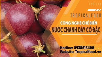 Dây chuyền thiết bị sản xuất nước chanh dây cô đặc - Tropcial Food Machinery Srl