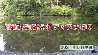 マブナ Youtube マブナ Youtube