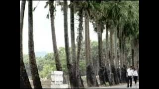 KKT Bamar Pyi Thein Tan - Shwe Myaing Mar Nay Dot MaL