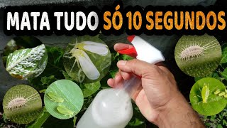 Elimina Pulgão, Cochonilha, Mosca Branca, Formiga, Lagartas – Receita Caseira