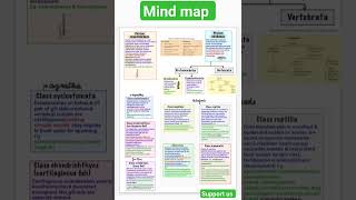 Animal kingdom full chapter mind map subscribemychannel subscribe NEET 2024