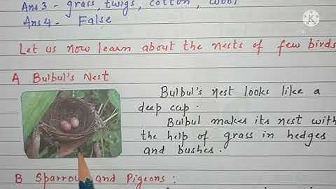 Nests of birds, Class 3, G Science