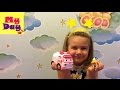 ПОЛЕ РОБОКАР Новые Коллекция Играем Вместе с Дашей★VLOG★ROBOCAR POLI