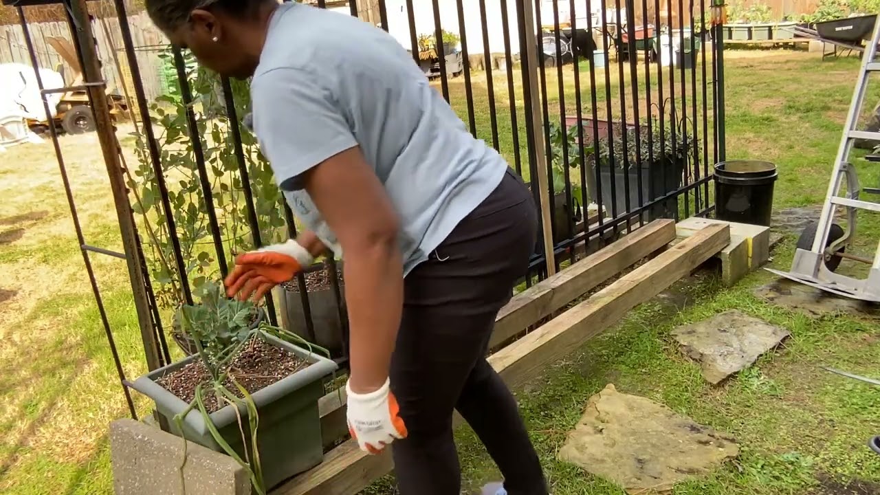 The weather is changing and so is the garden!💪🏾