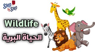 نطق كلمة Wildlife حياة برية 🗣️