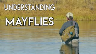 Understanding Mayflies with Tom Rosenbauer
