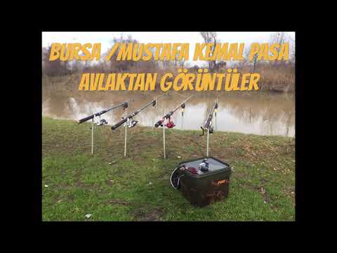 Bursa/MUSTAFAKEMALPAŞA SAZAN AVI