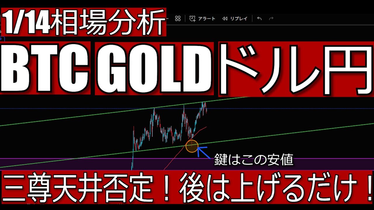 Fx ビットコイン 三尊 (99) 사진