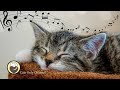 Cat music  harp music and water sounds for relaxation