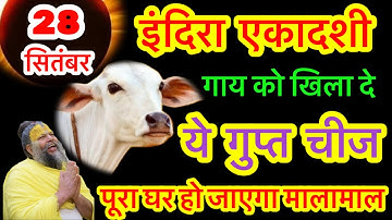 28 सितंबर इंदिरा एकादशी के दिन गाय माता को चुपचाप से खिला देना ये 1 छोटी सी चीज बनोगे करोड़पति #उपाय