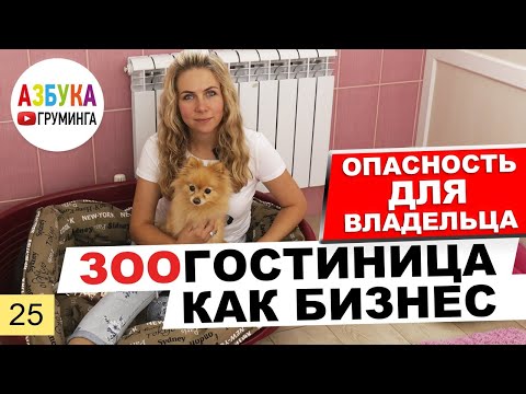 Видео: Медицинская конфиденциальность для домашних животных