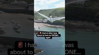 Seagulls ATTACKED My Drone… I Nearly Lost It! 🐦🚁😳