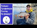 Поймал трофейную плотву на фидер и много другой рыбы !