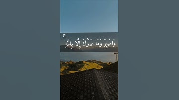 وَاصْبِرْ وَمَا صَبْرُكَ إِلَّا بِاللَّهِ وَلَا تَحْزَنْ عَلَيْهِمْ ...﴾ القارئ عبد الباسط