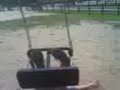 boy on a swing