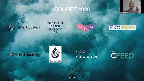 HATCH Accelerator 4.0 2020 - Kick Off