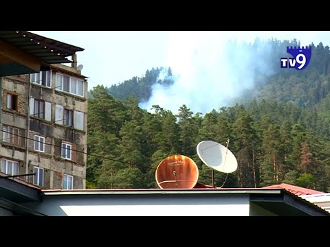 ტერიტორია, სადაც ხანძრის ახალი კერები გაჩნდა, ბორჯომ-ხარაგაულის ეროვნულ პარკს ეკუთვნის