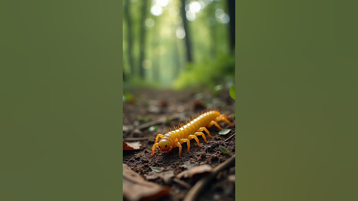 Why Centipedes Are So Terrifying? 🐛 #centipede #insects #wildlife #natureuncovered #shorts