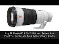 Sony FE 300mm F2.8 GM OSS Honest Review: Real Proof This Lightweight Beast Delivers Sharp Results