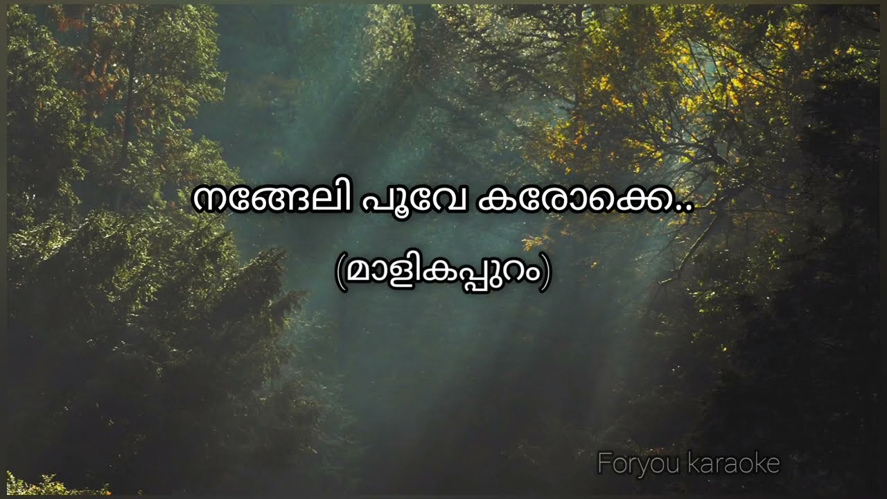 Nangeli poove karaoke with Malayalam lyrics Malikappuram Staus vibez