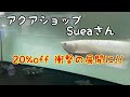 アクアショップSueaさん　20％offの衝撃の展開に‼　アロワナ　古代魚