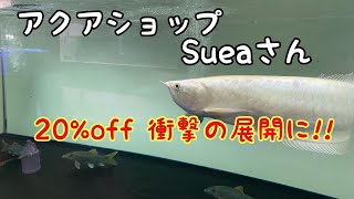 アクアショップSueaさん　20％offの衝撃の展開に‼　アロワナ　古代魚