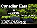 #40 Canadian east × OGAWA(カナディアンイースト×オガワ)GLOKE12(グロッケ12) 初張り設営　ブラックキャンプ　グリーンパークふきわれ