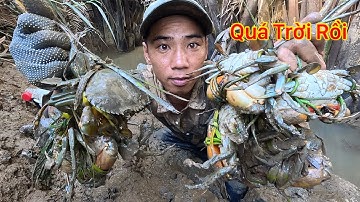 Quá Trời Cua Nằm Dưới Khe Nhỏ Mà Không Ai Thèm Bắt