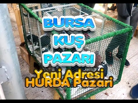 Bursa Kuş Pazarı ve Hurda Pazarı - Yeni Yeri Nerede ? (2021-22)