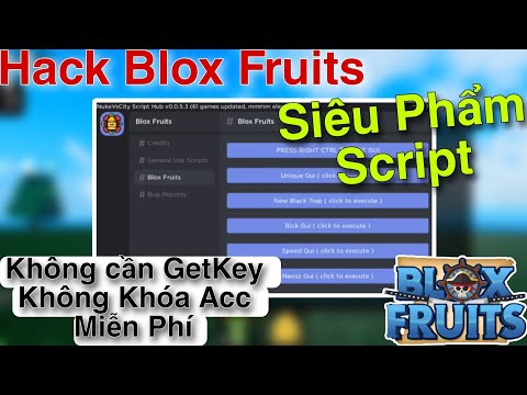 Hướng Dẫn Hack Blox Fruits 19 