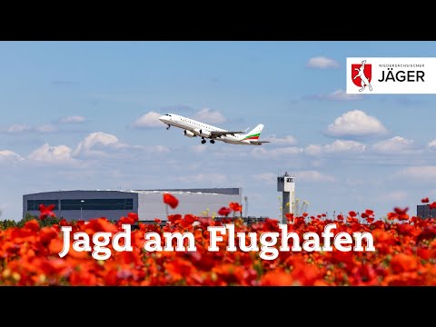 Wilde Jagd am Flughafen - Wir Jäger in Niedersachsen unterwegs bei Hegering Langenhagen am HAJ