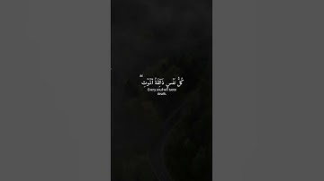 القارئ شريف مصطفى/سورة العنكبوت