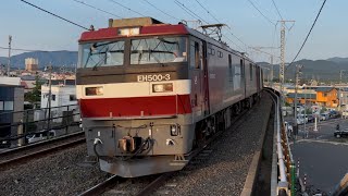 EH500-3 金太郎  3081レ  /  EH800-19 ラストナンバー (青函トンネル用機関車)   93レ  筒井駅　20260701　#eh800