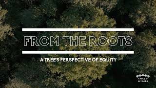 From the Roots: A Tree's Perspective of Equity